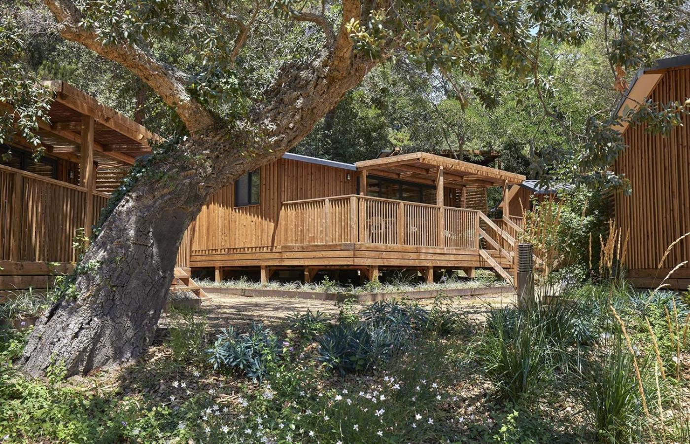 Camping Cala Pola Tossa de Mar Eksteriør billede