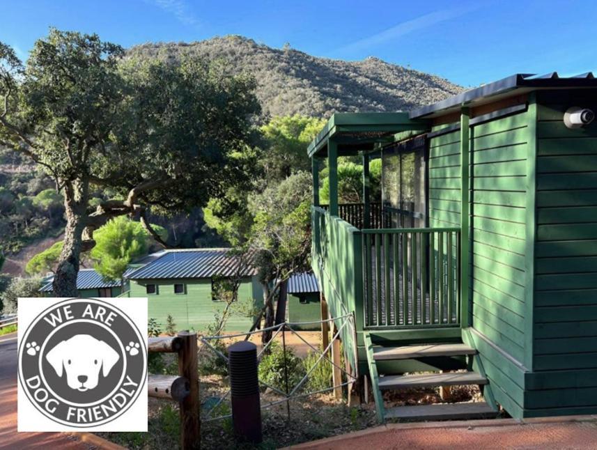Camping Cala Pola Tossa de Mar Eksteriør billede